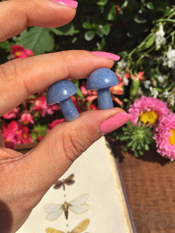 Mini blue aventurine Mushrooms