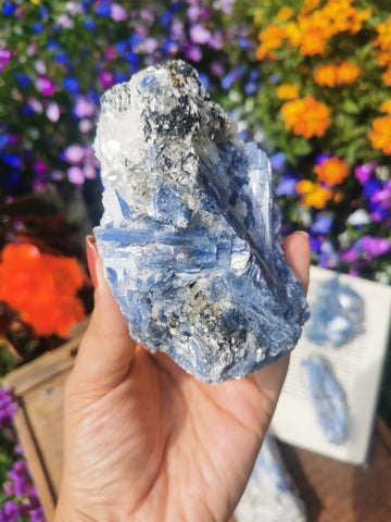 Raw kyanite in quartz