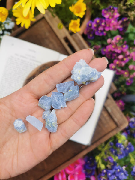 Two Scoops of celestite pieces