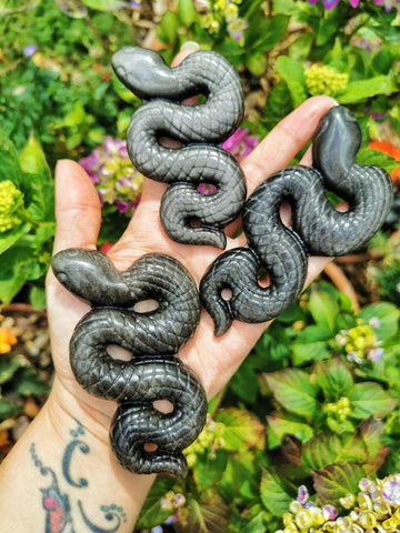 obsidian sheen snakes