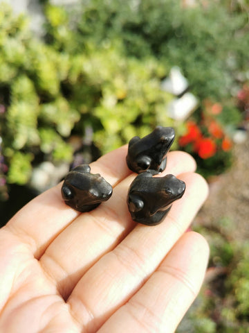 Mini obsidian frog