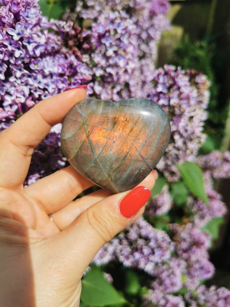 Labradorite heart with pink orange and blue flash!  #1