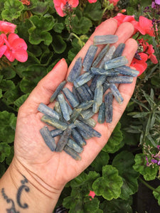 Small Kyanite pieces