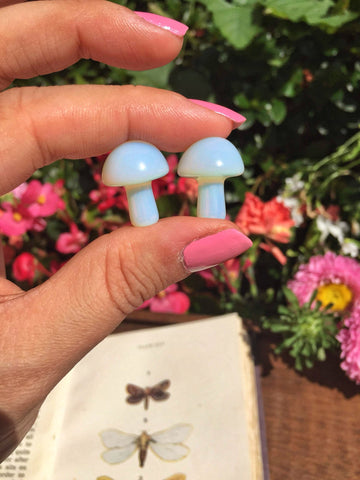 Mini Opalite Mushrooms