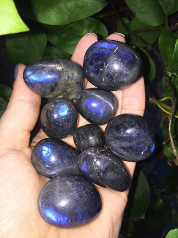 Rare Blue Labradorite tumble stones with cats eye