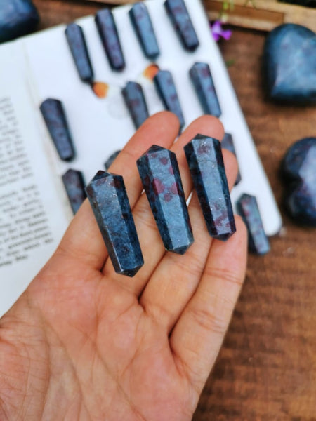Mini Double Terminated ruby kyanite points