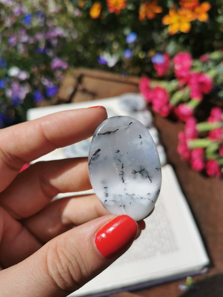 Opal dendrite worry stones