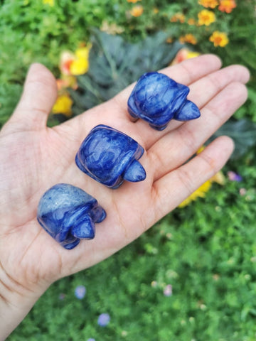 Blue aventurine tortoise