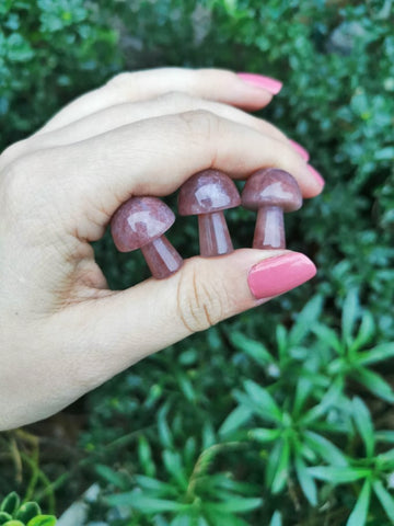 Mini strawberry quartz Mushrooms