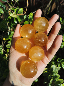 Small Honey Calcite spheres