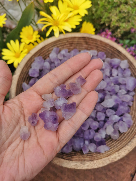 Two Scoops of Amethyst Mini Clusters