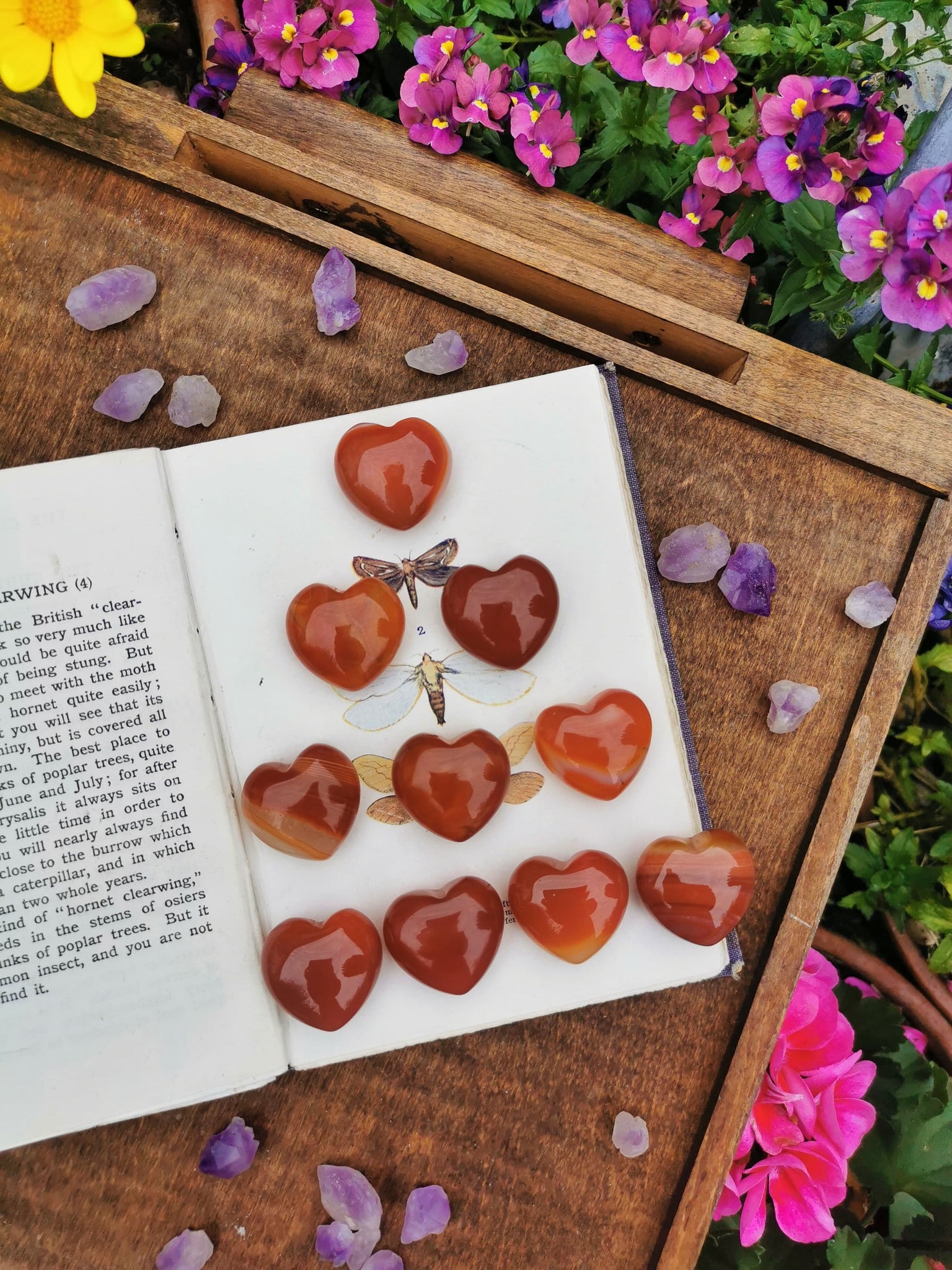Red Agate hearts