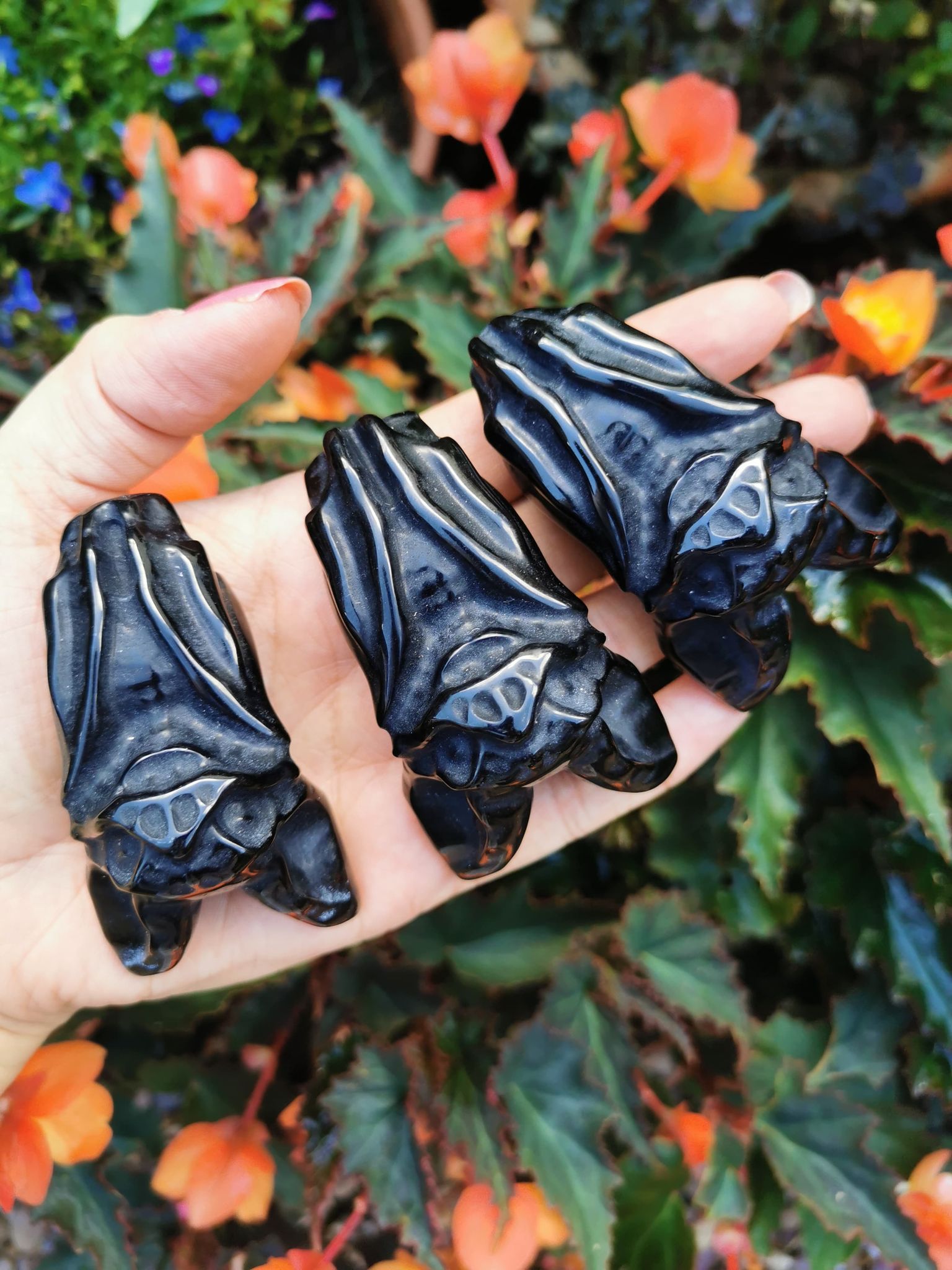 Extra large Obsidian Bats!