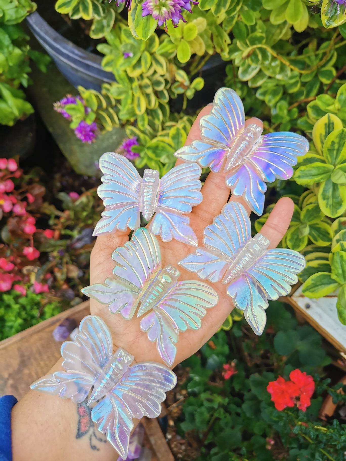 Extra Large Aura Lavender Fluorite Butterflies
