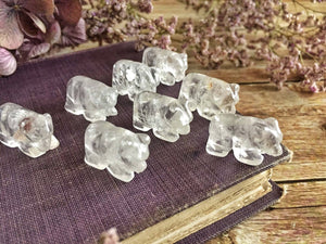 Mini quartz polar bears