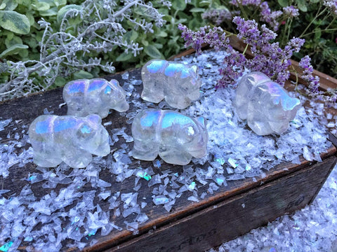 Aura quartz Polar bears